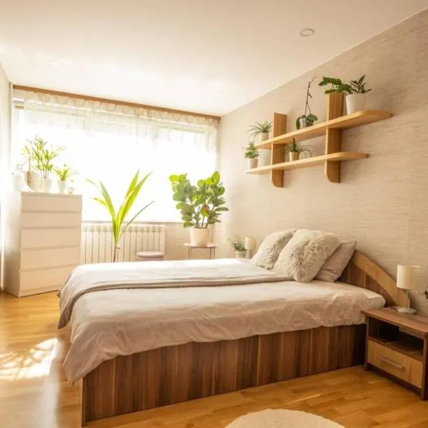 Beautiful & spacious apartment in Valmiera, hotel in Valmiera