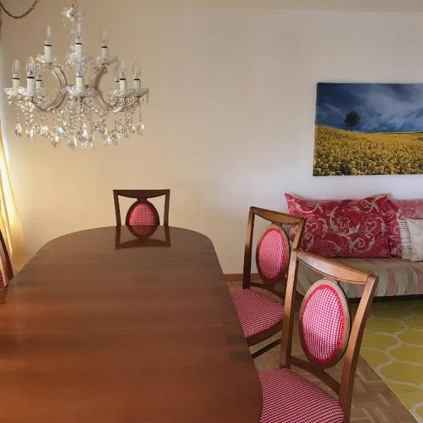 Bijou Appartment、Zollikofenのホテル