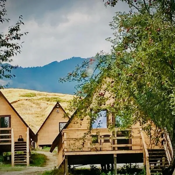 Cabanele lu’ Dinu, hotel in Curtea de Argeş