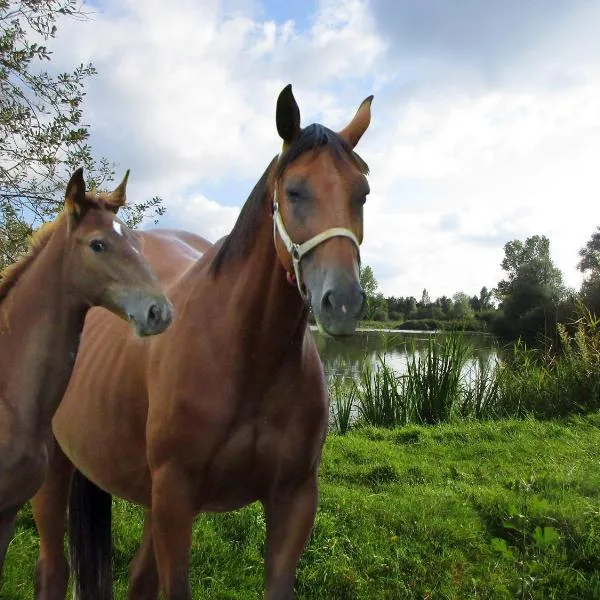 Espace Nature Studio indépendant proche du Parc des oiseaux, Hotel in Sainte-Olive