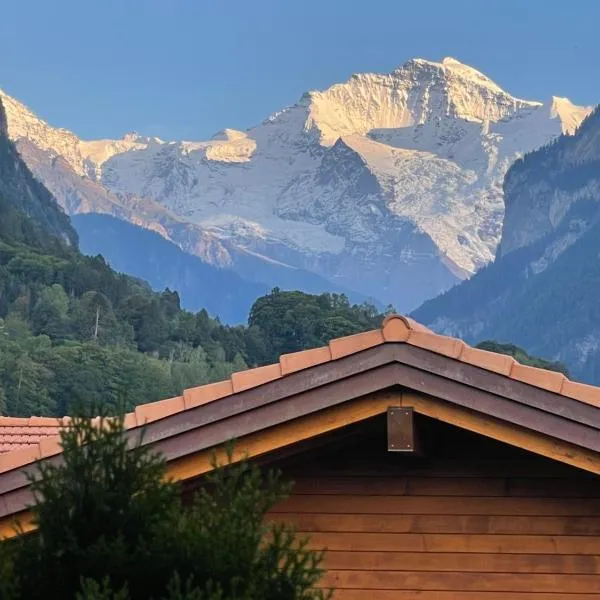 S&P Mountain View Apartment 2, hotel in Wilderswil