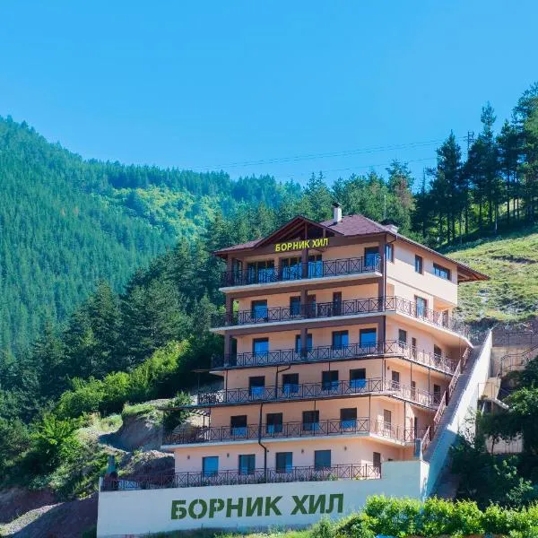 Борник Хил / Bornik Hill, Hotel in Dewin