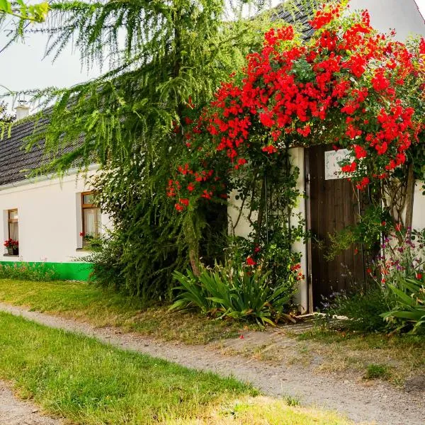 Chalupa U Čápů, hotel v Nových Mlýnech
