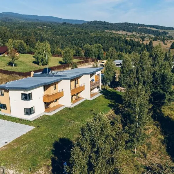 Bazalt Apartments, hôtel à Miercurea-Ciuc