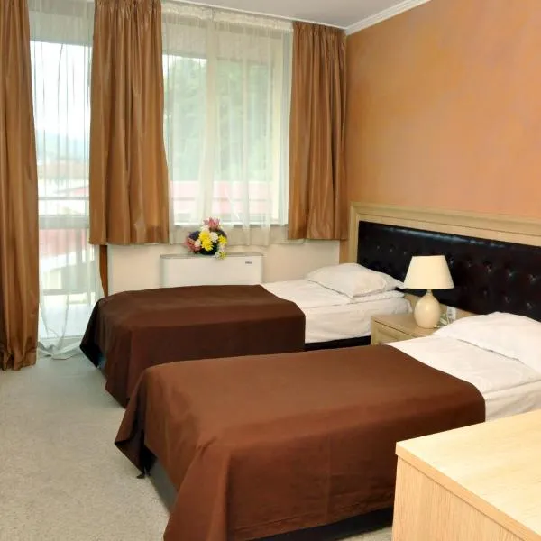 Olymp Hotel, hotel in Teteven