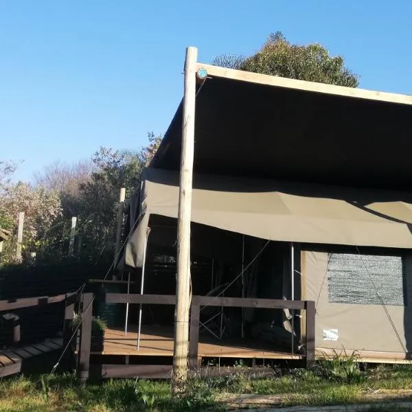 Chosen Glamping Tents, ξενοδοχείο σε Graskop