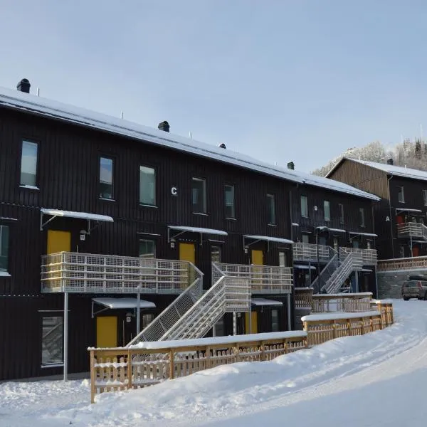 Ski Lodge Funäsdalen, hotel in Funäsdalen