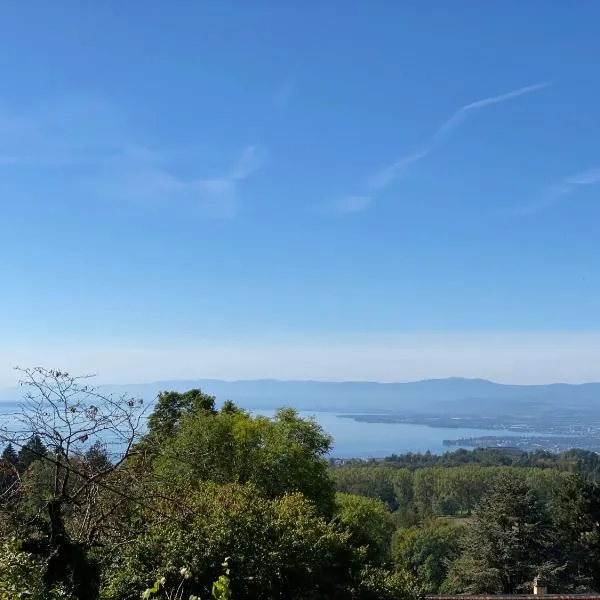 Petite maison à l'orée des bois vue magnifique sur le lac zenitude et plénitude, ξενοδοχείο σε Belmont-sur-Lausanne