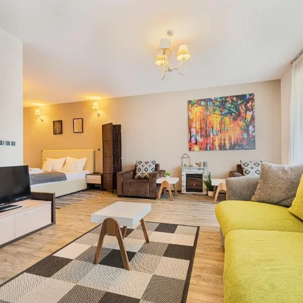 Pine Woods Studio D113 in Silver Mountain, hotel in Poiana Brasov