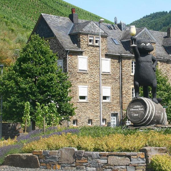 Mosel Ferienhaus Kleine Merle