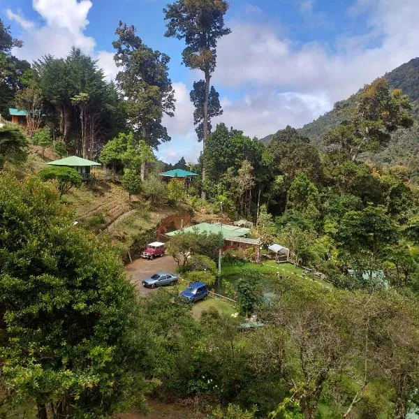 Las Cataratas Lodge, hôtel à San Gerardo de Dota