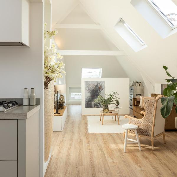 Huize Copes apartment Den Haag, 2 bed, 2 bath, Den Haag