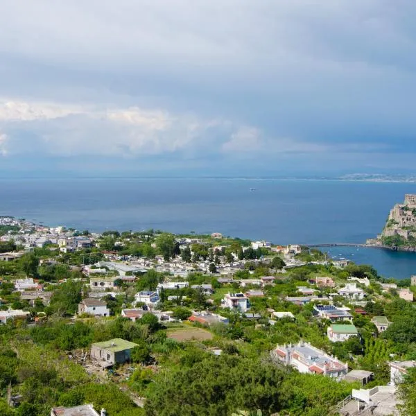 La Capannina - Hotel & Apartments, hotel v Ischii