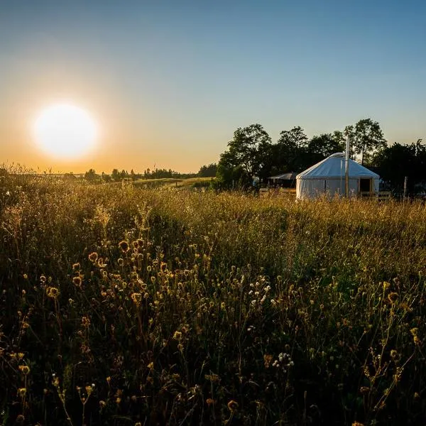Siedlisko pod Krukiem - Jurta, hotel in Rosochaty Róg