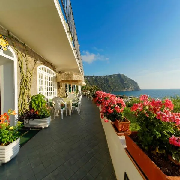 Hotel Casa del Sole，位于伊斯基亚的酒店
