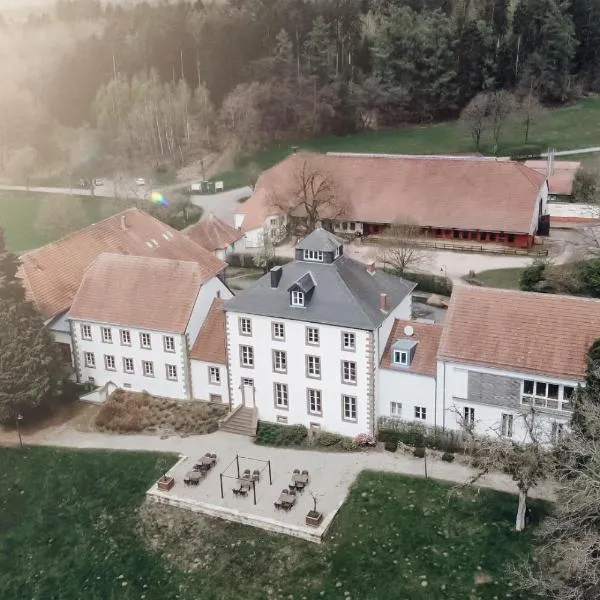 Hotel Hofgut Imsbach Lapointe，位于Tholey的酒店