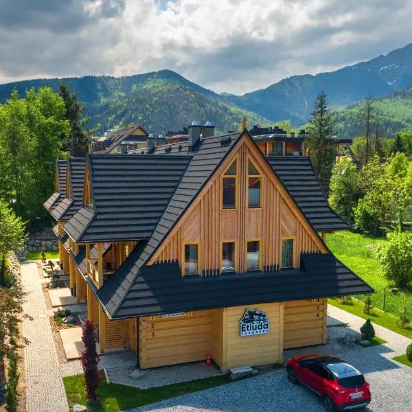 Etiuda Zakopane, hotel in Zakopane