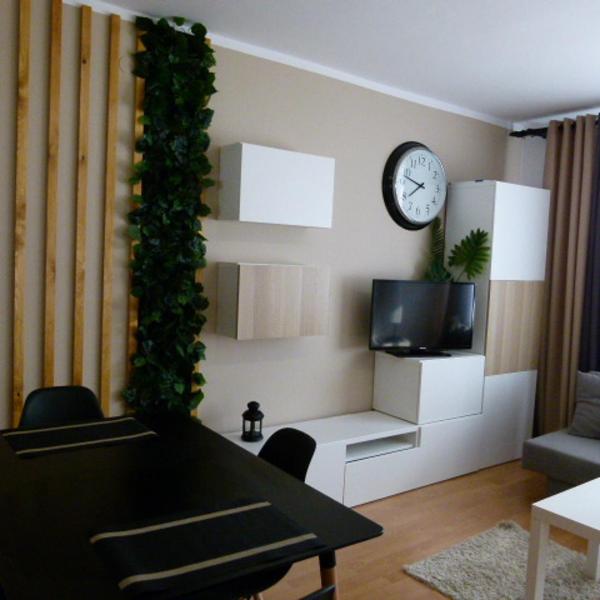 Apartament BB Czarny potok