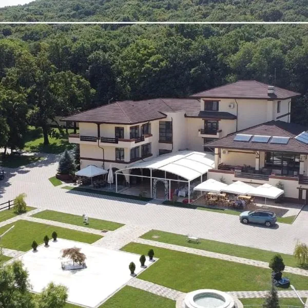 Curtea Domneasca, hotel v destinaci Vaslui