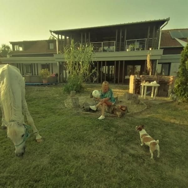 Silver Horse Ranch