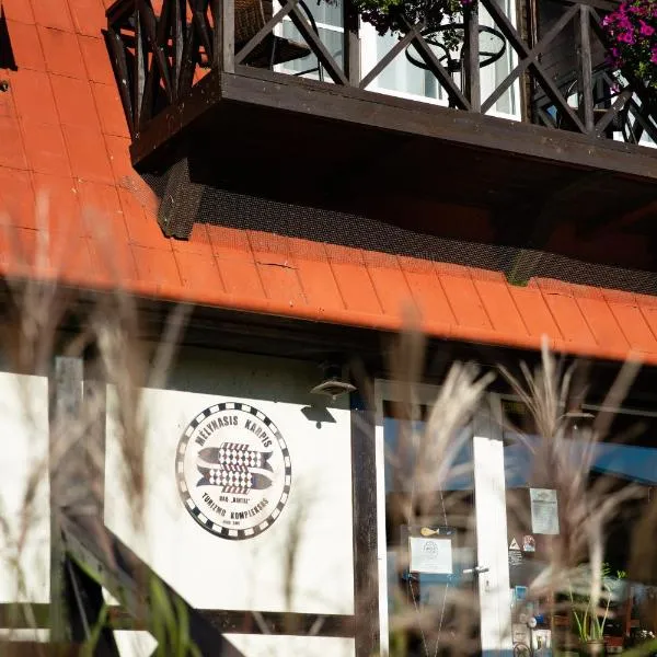 Mėlynojo karpio namas, hotel v destinaci Kintai