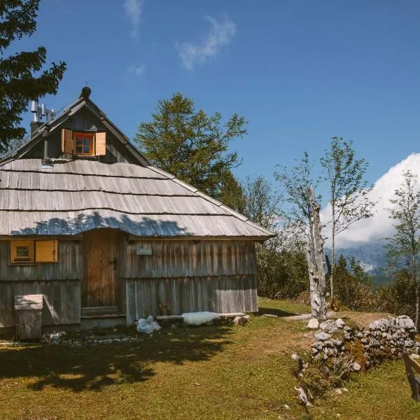 Chalet Orlica Velika Planina, hotel din Stahovica