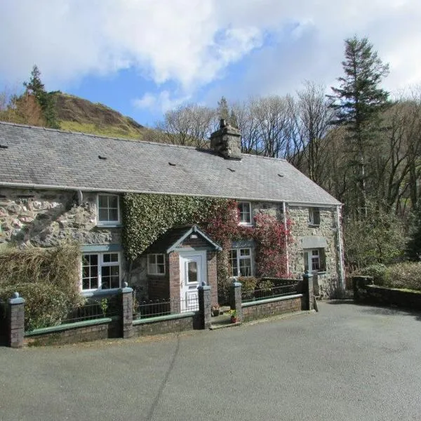 Bryn Sion Farm、ディナス・マウズイのホテル