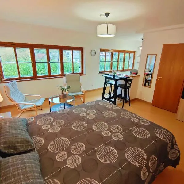 Lumineux Appartement Free Parking Nature Ville tt équipé, Hotel in Thann