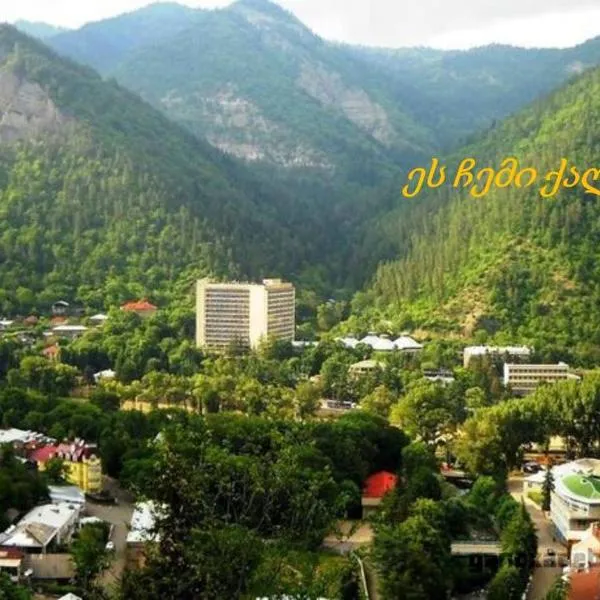 Guest House Besarioni, ξενοδοχείο σε Borjomi