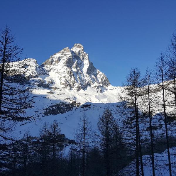 appartamento con vista Cervino- frazione Breuil Cervinia Cieloalto Piano 3 appartamento 306 reception Coin au Paradise