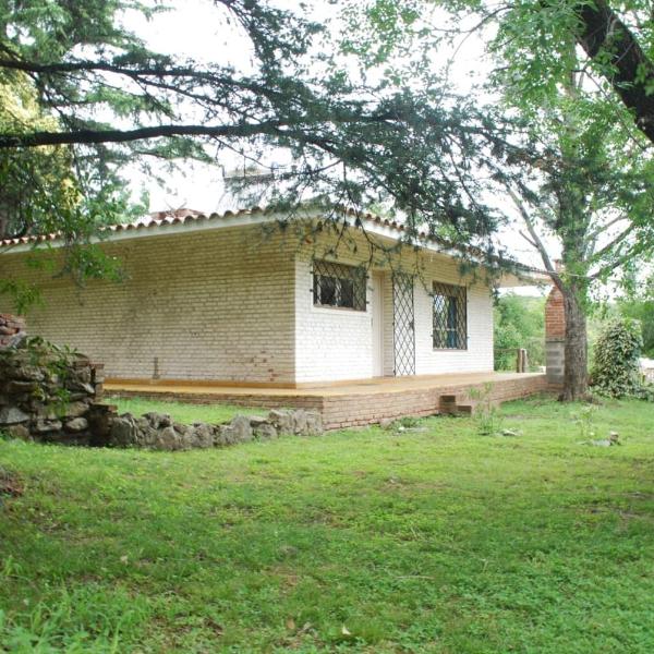 Bosquecito Del Rio