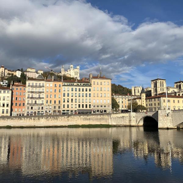 Nest in heart of Lyon