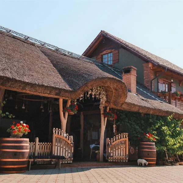 Gagauz Sofrasi, khách sạn ở Congaz