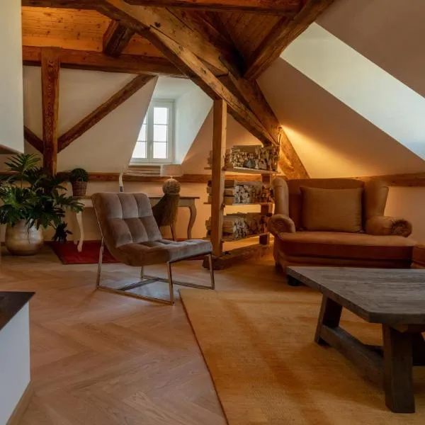 Moderne Altbauwohnung im Zentrum von Bern mit Wellness, Hotel in Bern