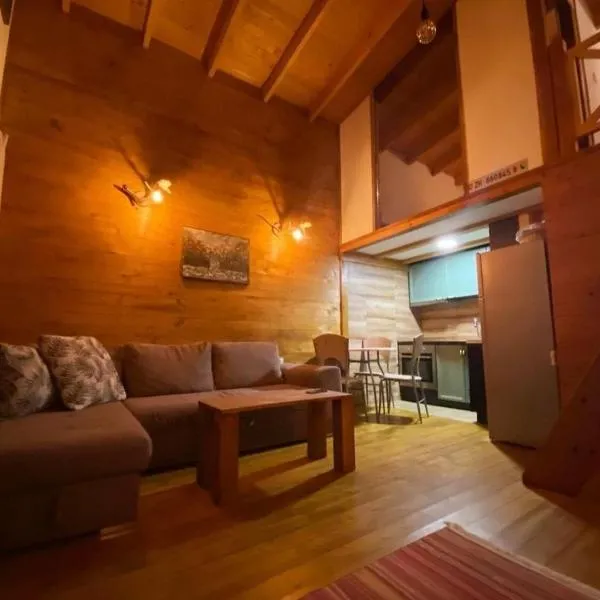 Mavrovo Apartment, ξενοδοχείο στο Μαύροβο