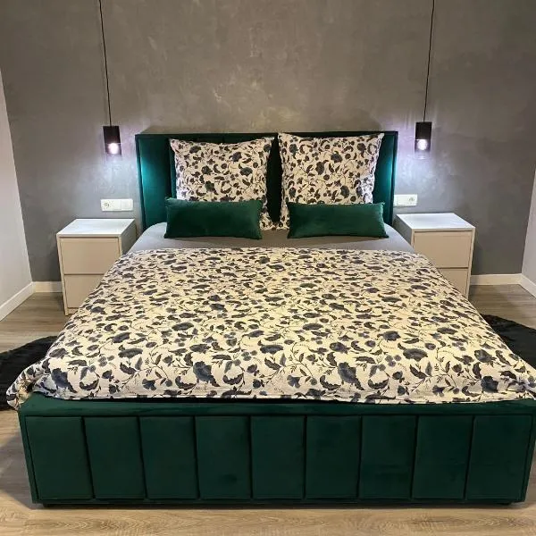 B&B Home，位于锡吉什瓦拉的酒店