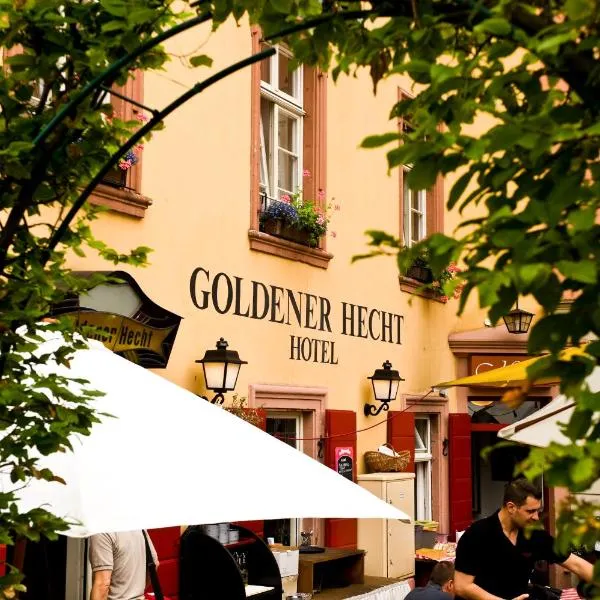 Hotel Goldener Hecht, Hotel in Heidelberg