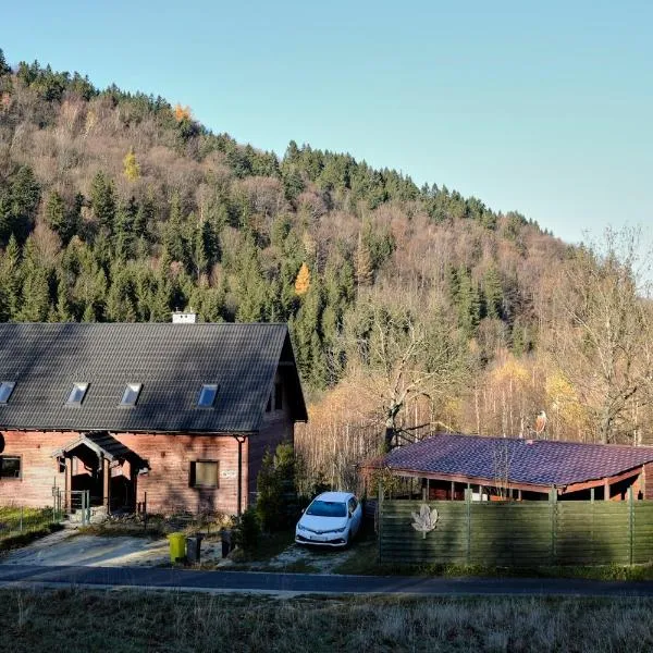 Królikówka、ストロニエ・シロンスキエのホテル