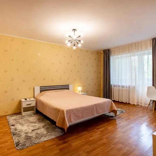 Apartment near Central Avenue، فندق في نيكولايف