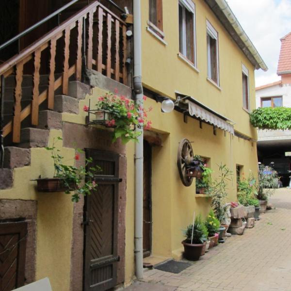 Gîte du Vignoble