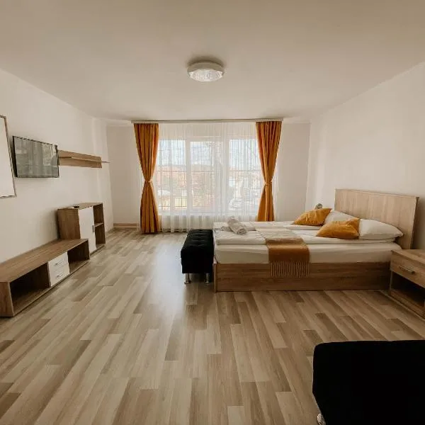 PaulaApartment&Rooms, ξενοδοχείο σε Oradea