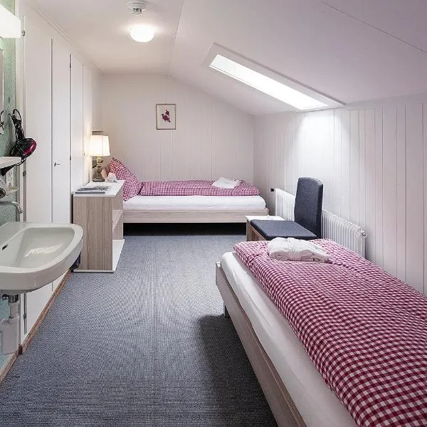 Basic Rooms Jungfrau Lodge, khách sạn ở Grindelwald