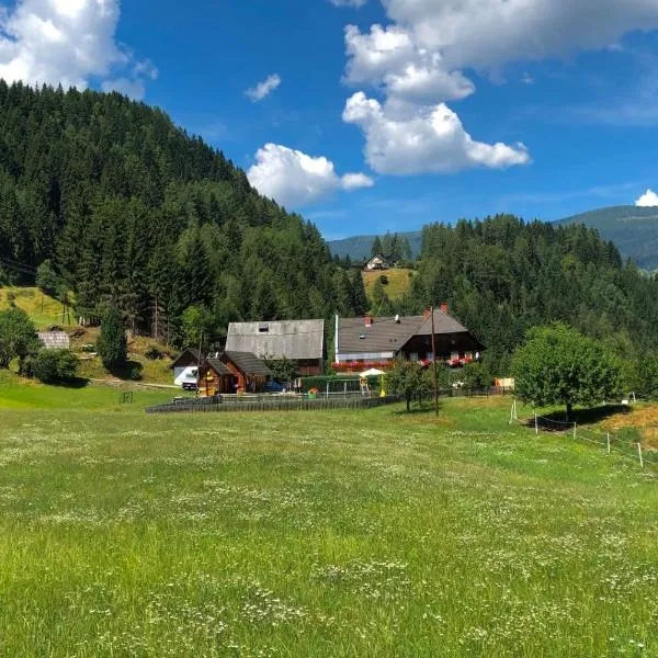 Haus Edlinger, hotel in Sankt Georgen ob Murau