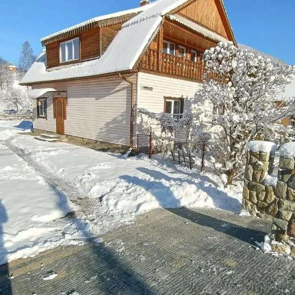 Homestay Opryshky, Hotel in Tatariw