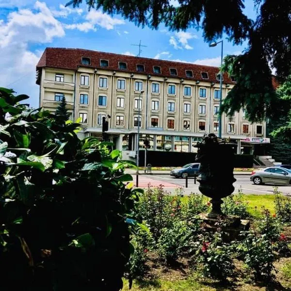 HOTEL MUNTENIA, hotel in Campina