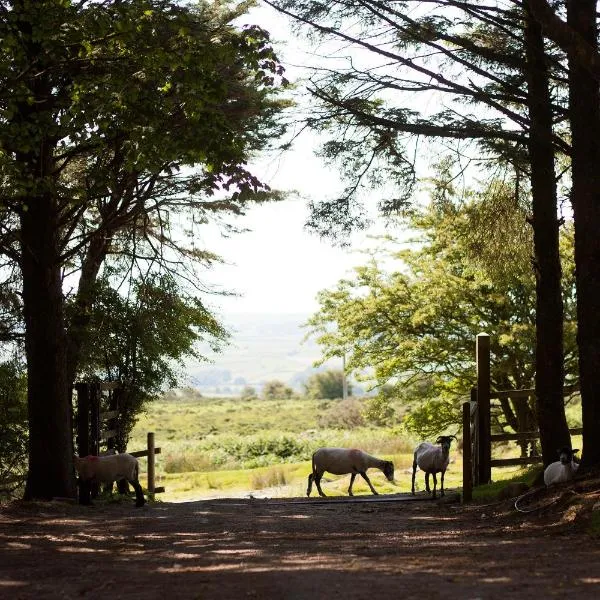 Wheal Tor Hotel & Glamping, hotel in Liskeard