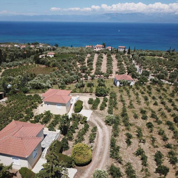 ORFANOS 3