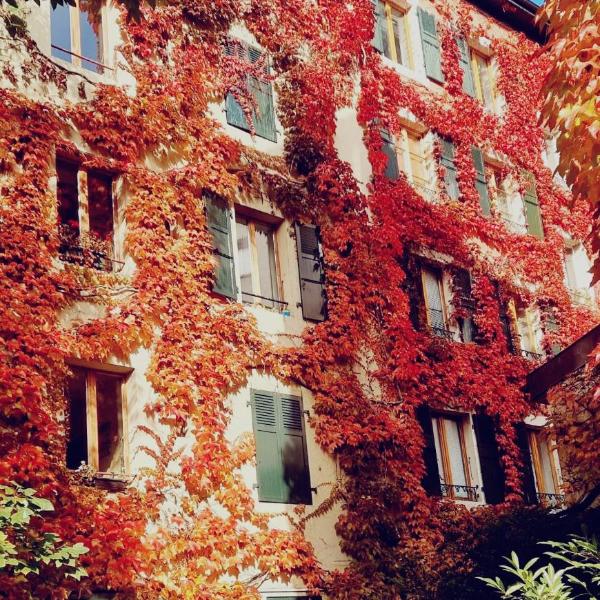 Appart'Hôtel Residence Dizerens, Ginevra