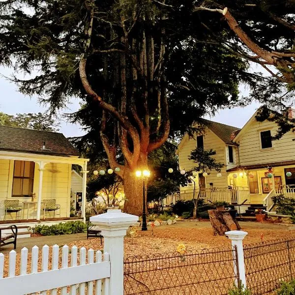 Santa Cruz Hostel, hotel in Santa Cruz