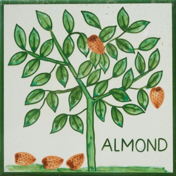 Casa Monte Cristo Apartments - Almond